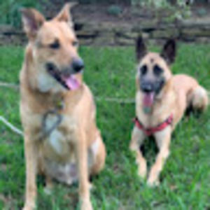 Meet your Posher, Charles